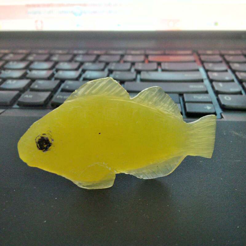 小鱼